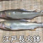 鮎 -AYU (sweetfish)-【Japanese food 江戸長火鉢】