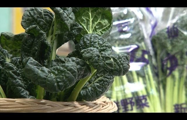 仙台伝統野菜”仙台雪菜”