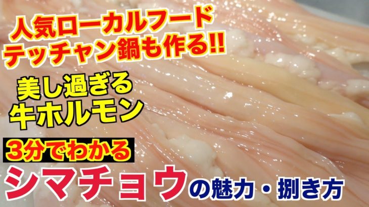 【美し過ぎるホルモン】シマチョウの魅力と捌き方