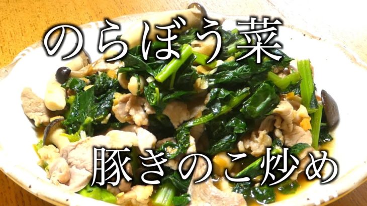 【伝統野菜】のらぼう菜 レシピ　のらぼう菜豚きのこ炒め　[Traditional vegetables] Stir-fried Norabou greens pork mushrooms