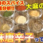 【日本のスパイス】七味唐辛子の魅力と作り方