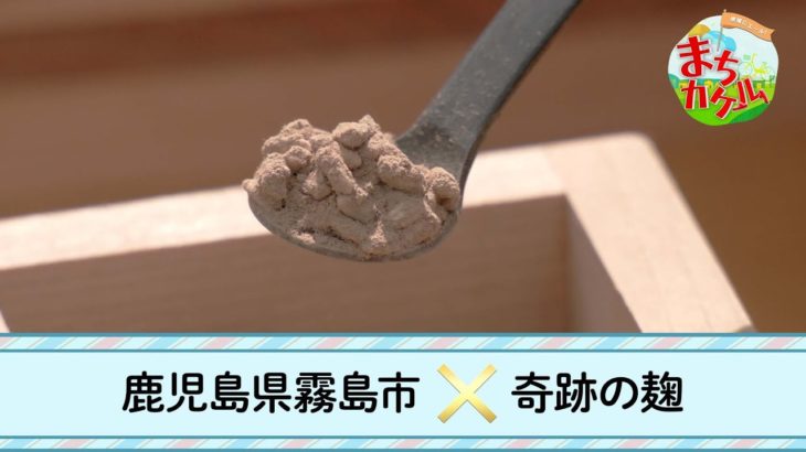 本編　地域にエール！まちカケル【鹿児島県霧島市×奇跡の麹】 | ＢＳテレ東