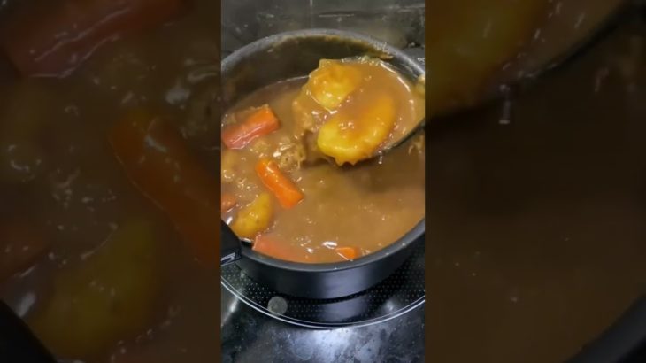 【チェンソーマン】アキくんのカレーを完全再現してみた？！