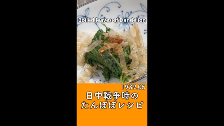 【戦時中の食事レシピ再現】摘み草料理 – たんぽぽのお浸し／昭和14年5月【ASMR】