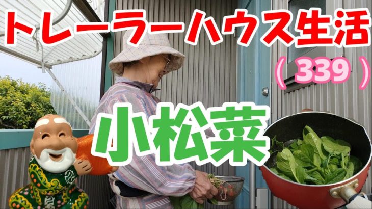 小松菜卵と新玉新じゃがの煮物【老後トレーラーハウス生活】339