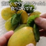 《ミズレモン》希少沖縄フルーツ・甘くて爽やかでおススメ