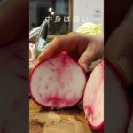 かわいいサラダ🤗　#サラダ　#料理　#うさぎ 　#もものすけ　#かぶ 　#簡単　#かわいい　#美味しい　#幻