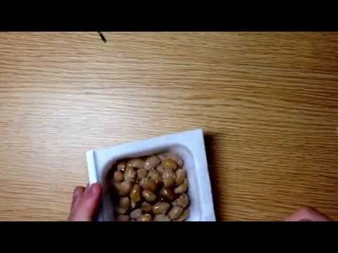 お料理混ぜ合わせ実験