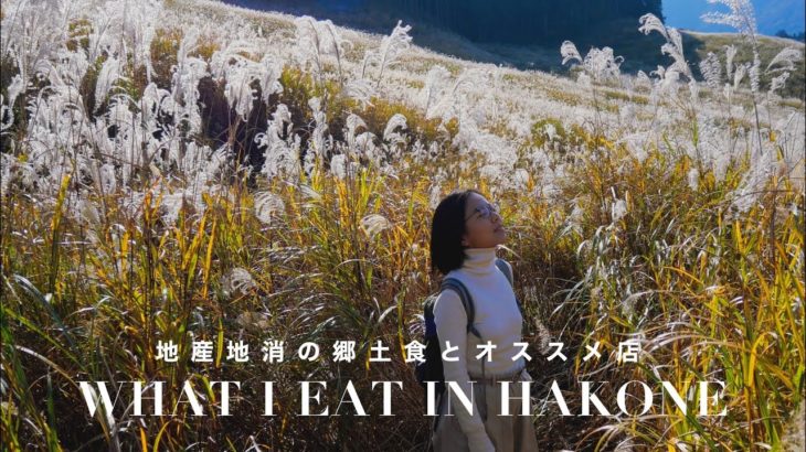 【秋の箱根3日間】ゆるり自炊旅/滋養たっぷり十割蕎麦/美味しい韓国料理/お寺カフェ｜Halone trip/What I eat in 3 days in Hakone