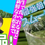 テレビはむらNO.1376（絶品！最強朝食スムージー！）