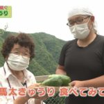 伝統野菜を守り継ぐ「美馬太きゅうり」【テレビトクシマ】