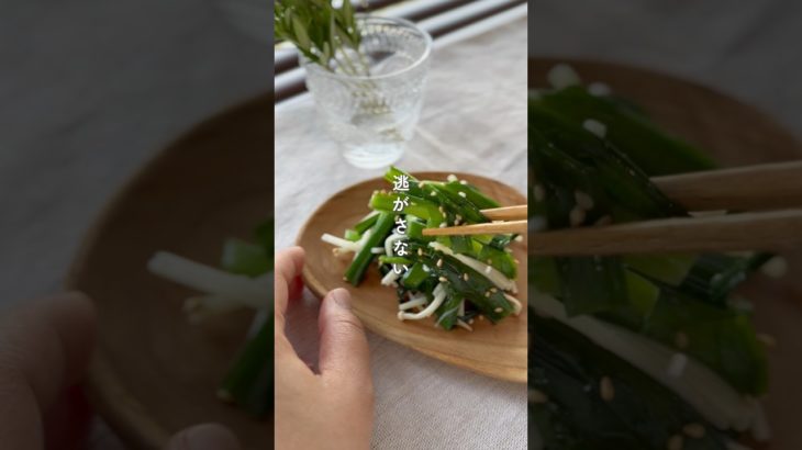 シャキッと!にらナムル #野菜レシピ #簡単レシピ #簡単美味しい #作り置き #副菜レシピ