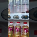 【一家に1本】24時間買える出汁の自販機だし道楽を買ってきた