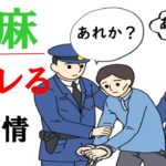 大麻(マリファナ)を吸うとバレる衝撃理由を元警察官が解説