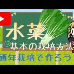 水菜 基本の栽培方法 野菜 🚜 みずな オススメ野菜 野菜栽培 家庭菜園 ミズナ