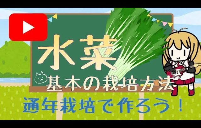 水菜 基本の栽培方法 野菜 🚜 みずな オススメ野菜 野菜栽培 家庭菜園 ミズナ