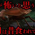 なぜ人間はこんなに大きいのに虫が怖いのか？