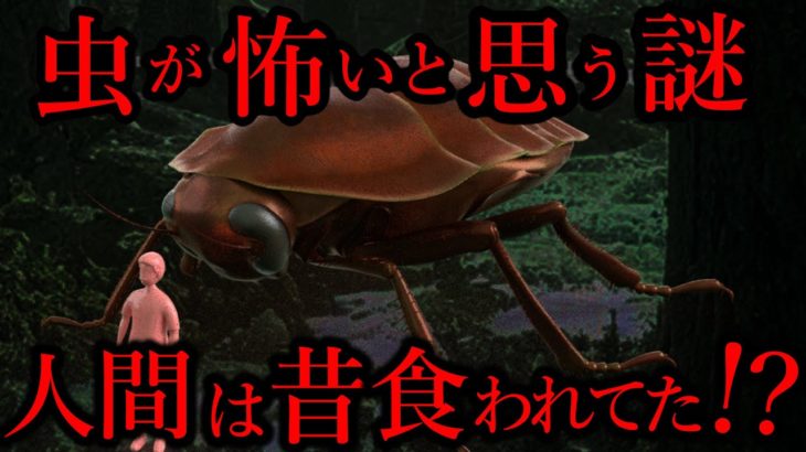 なぜ人間はこんなに大きいのに虫が怖いのか？