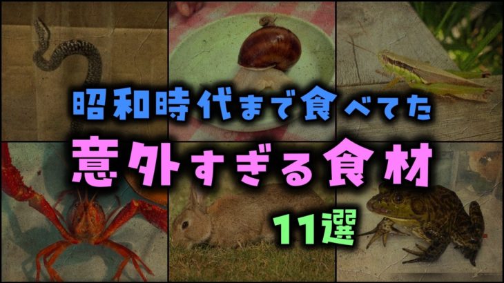 【ゆっくり解説】昭和時代まで食べてた「意外すぎる食材」11選