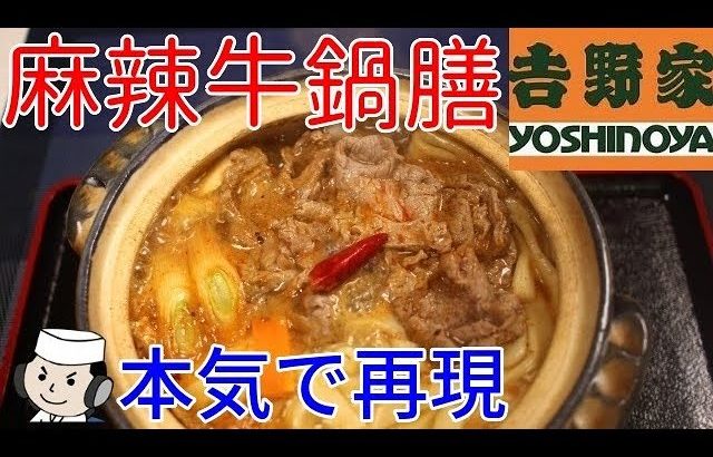 麻辣牛鍋膳♪ ～本気シリーズ㉘～　Beef Hot Pot with Mala soup♪