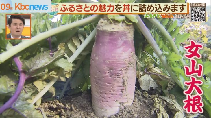 【いただき！ふるさと丼】伝統野菜は巨大な大根！？