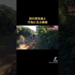 #探偵 #片岡探偵事務所 #浮気調査 #不倫 #修羅場 #ライブカメラ #切り抜き