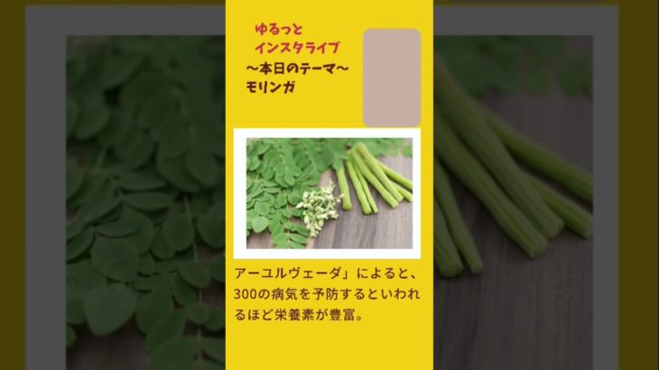 【DAY47】ライブ切り抜き　タイのハーブ紹介！栄養満点のスーパーフードやモリンガの効果効能など♪ #体質改善 #タイ料理教室 #デトックス