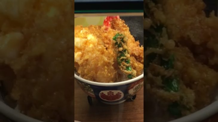 #Tempura #Food #Sampl  Japan  #天ぷら  #食品サンプル