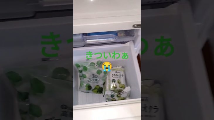 冷蔵庫 ルフラン 井上望 refrigerator 2023年1月25日