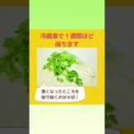 ひと手間で長持ち！パクチーの保存方法　#保存方法 #パクチー #タイ料理 #タイ料理教室 #shorts