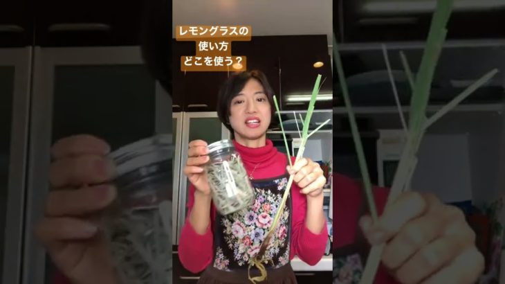 レモングラスの使い方 料理にはどこを使う？ #レモングラス #ハーブ #タイ料理教室 #タイ料理 #shorts