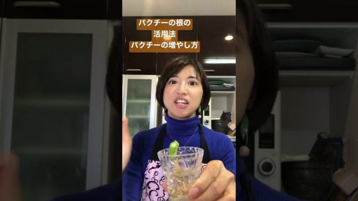 パクチーの根の活用法 パクチーの増やし方 #パクチー #ハーブ #タイ料理教室 #タイ料理 #shorts