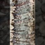 居酒屋店主が教える美味しい天ぷらの作り方 #料理 #簡単レシピ #料理レシピ #旬の食材