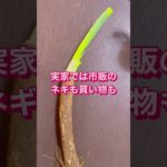 土付きネギを見つけたらラッキー🥰私が土付きネギを買う理由✨