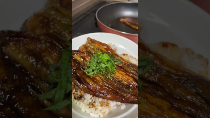 【料理動画】ナスの蒲焼丼