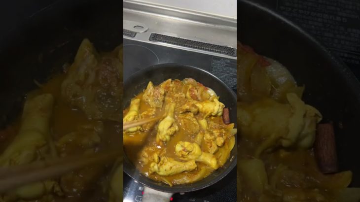 【コストコ購入品】小麦粉、添加物不使用！美容に嬉しいスパイスで作るコストコのカレーセットがオススメ