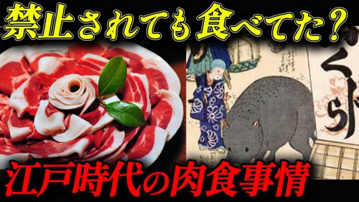 【江戸時代の暮らし】昔の肉食事情 美味しすぎて我慢できない⁉ タブーと言われればなおさら食べたい！