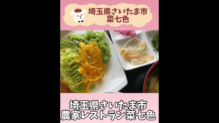 【菜七色】さいたま市・テレビで紹介された古民家農家レストラン