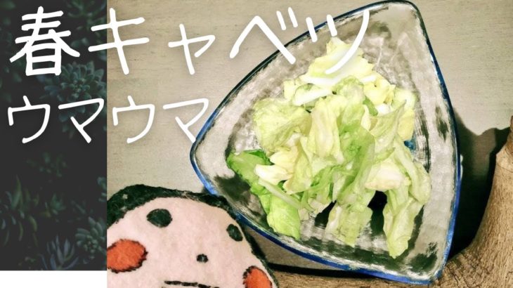 【春キャベツ】を【だし＆栄養スープ】で後悔しない超ウマウマ一品に【超簡単】