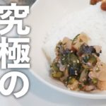 【1日で完成！】究極の福神漬　Ultimate Fukujinzuke