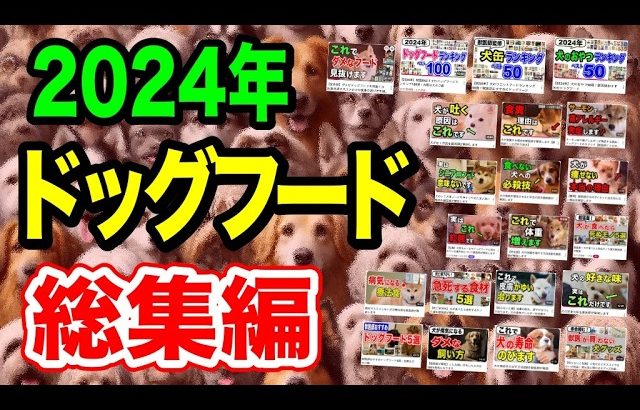 【ドッグフード総集編】2024年で大事なコトを獣医師が全て解説します｜犬のご飯