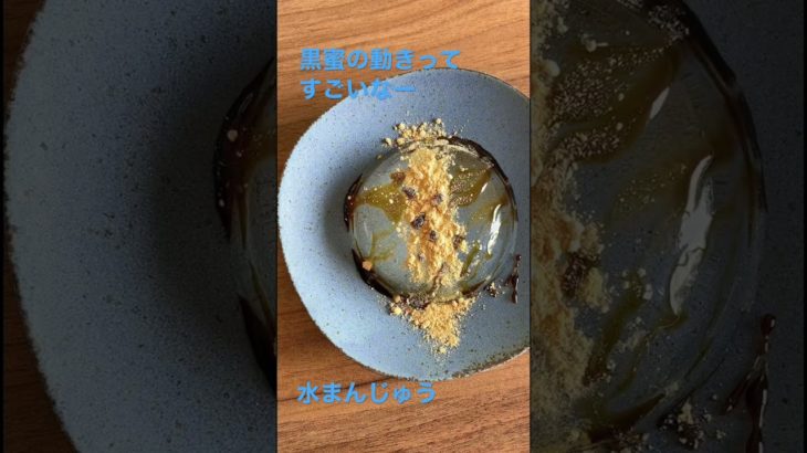 【水まんじゅう】黒蜜の動きがすごい件。#47都道府県 #おいしいもの