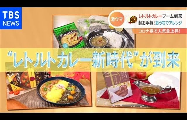 華麗なるレトルトカレー新時代【Nスタ】