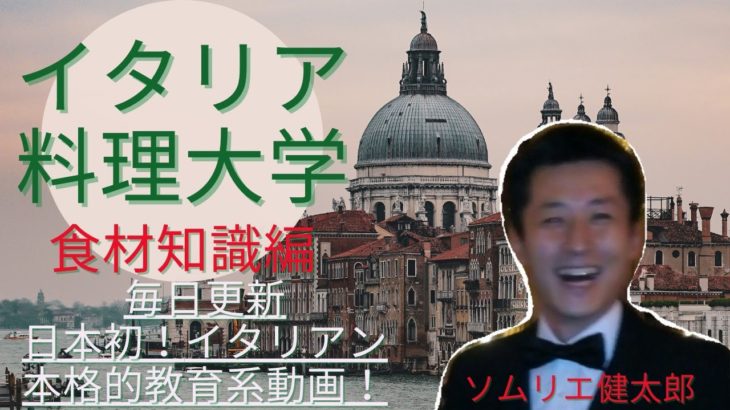 【イタリア料理の遺産】Vol.29   野菜編③（キャベツ、レタス、セロリ、チコリ、ラディッキョ、プンタレッラ、カルド）