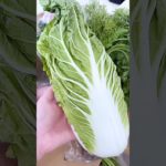 繁昌農園さんのお野菜リピート。葉でふりかけ　　　　　#shorts #繁昌農園 #リピート #オーガニック野菜 #葉っぱレシピ