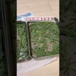 レモングラスを収穫してからドライハーブにするまで🍵 #安藤梨鈴 #体質改善 #東京 #自家製ハーブ