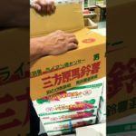 【豊洲市場丸川】担当者も思わずニコニコ！ムチャクチャ旨い！静岡三方原馬鈴薯はこれだ！！