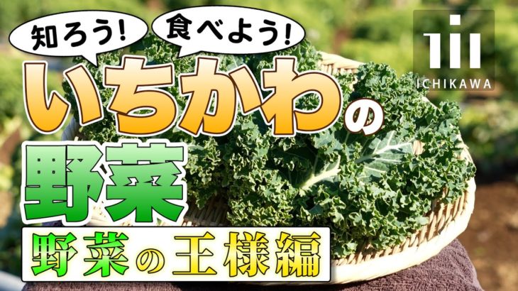 知ろう！食べよう！いちかわの野菜　～野菜の王様編～