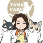 たまメシ！低温調理用の豚肉を仕込んだり、紅芯大根のピクルス作りますよ～