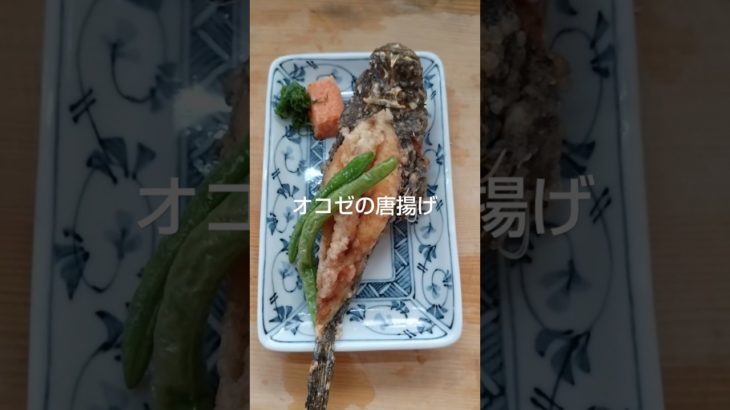 超簡単料理。オコゼなら買ってきて塩コショウ、片栗粉で揚げるだけ。
